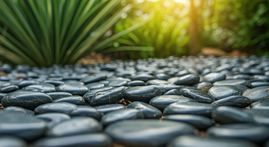 Black Polished Pebbles: Pros and Cons for Home & Garden