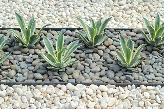 Astonishing Garden Landscaping Ideas with Pebble Stones