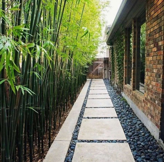 Transform Your Gardens with Mexican Beach Pebbles: An Incredible Alternative to Mulch