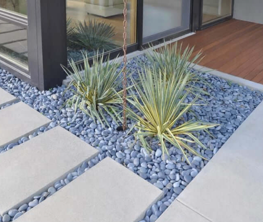 Should I Put Pebbles on Top of Soil Indoor Plants?
