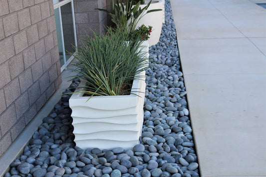 The Ultimate Landscape Design Secret: Why Mexican Beach Pebbles Are a Must-Have!