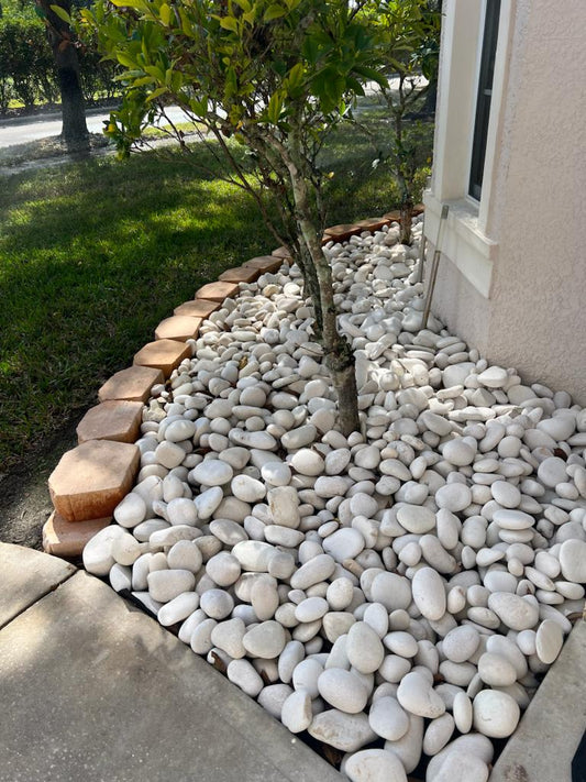 Create a Stunning Garden with Pebble Stones: A Beginner's Guide