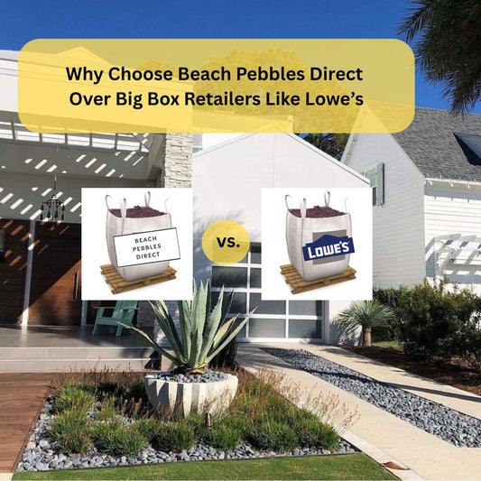 Beach Pebbles Lowes vs BPD