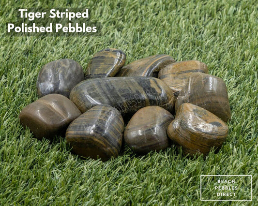 Tiger Striped Polished Pebbles