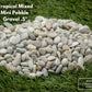 Tropical Pebble Gravel