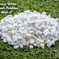 Mini Snow White Beach Pebbles